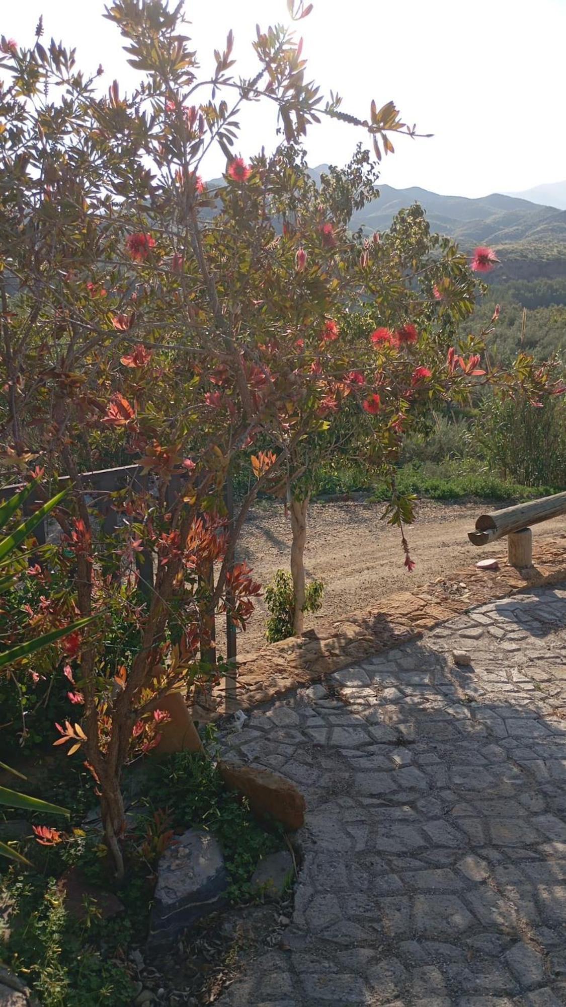 Cortijo Rural Molino El Tarahal Con Piscina Y Zonas Compartidas Exterior photo
